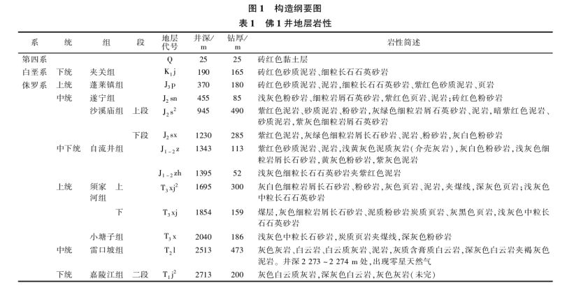 樂(lè)山大佛景區(qū)區(qū)域地?zé)豳Y源開(kāi)發(fā)遠(yuǎn)景分析-地大熱能